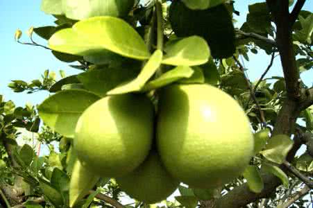 开云体育全站登录入口案例展示一