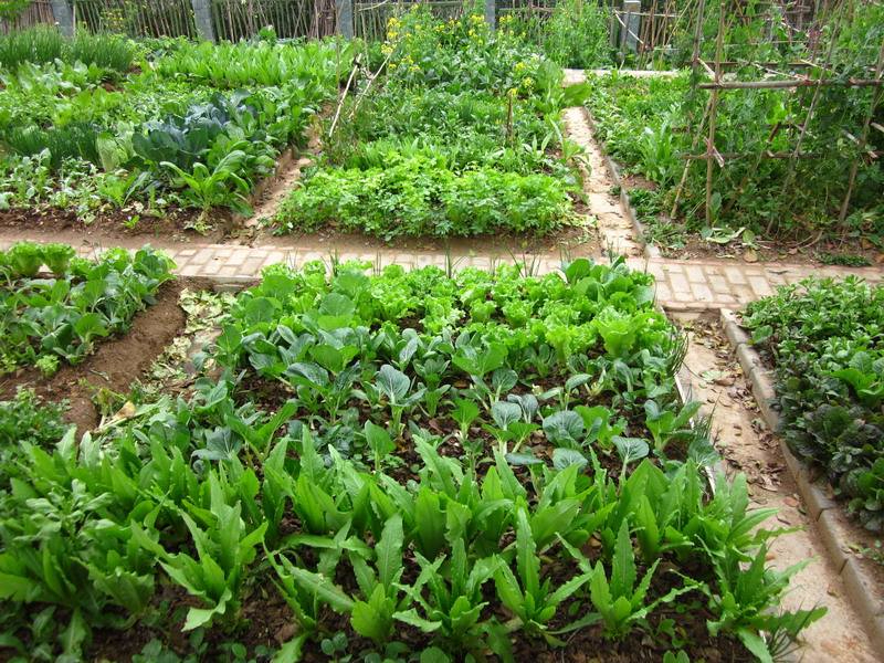 开云体育全站登录入口案例展示五